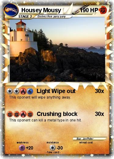 Pokemon Housey Mousy