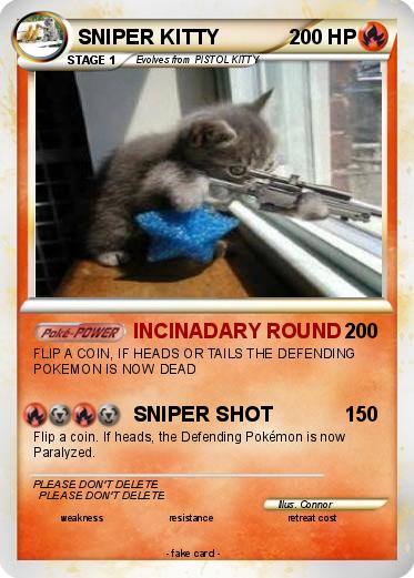 Pokemon SNIPER KITTY