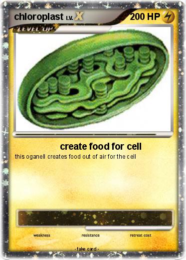Pokemon chloroplast