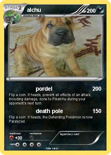 Pokemon alchu
