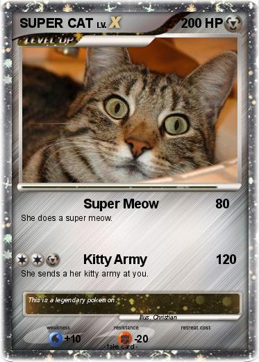 Pokemon SUPER CAT