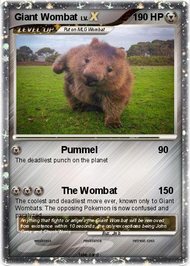 Pokemon Giant Wombat
