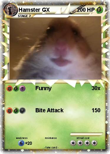 Pokemon Hamster GX
