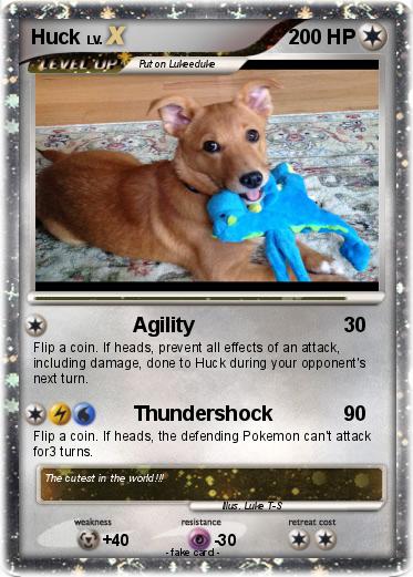 Pokemon Huck
