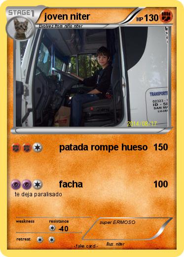 Pokemon joven niter
