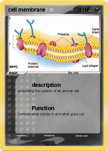 Pokemon cell membrane