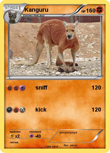Pokemon Kanguru
