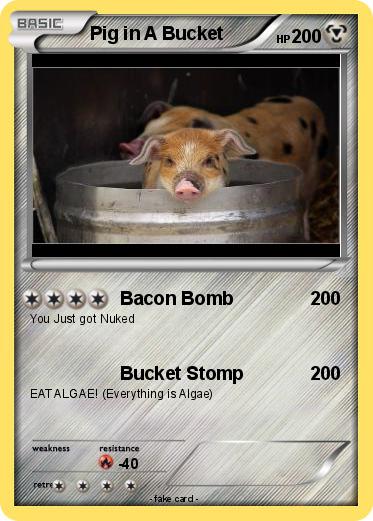 Pokemon Pig in A Bucket