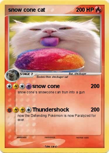 Pokemon snow cone cat