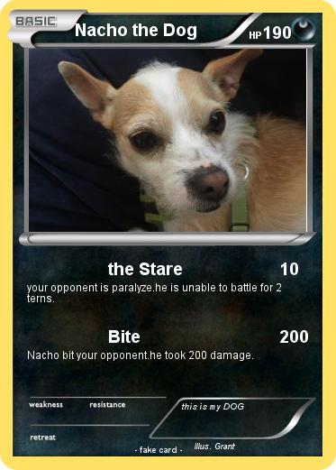 Pokemon Nacho the Dog