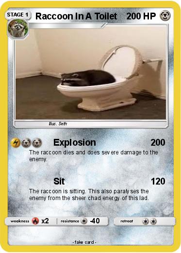 Pokemon Raccoon In A Toilet