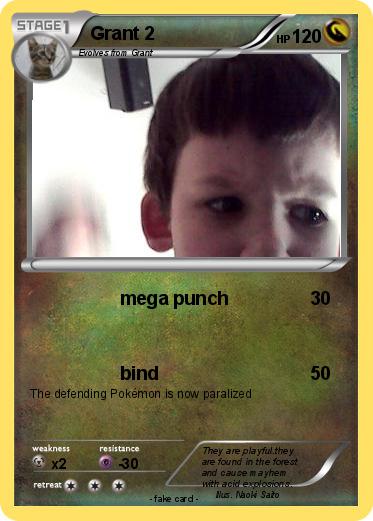 Pokemon Grant 2