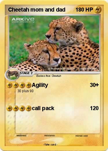 Pokemon Cheetah mom and dad