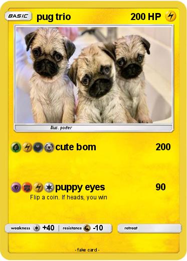 Pokemon pug trio