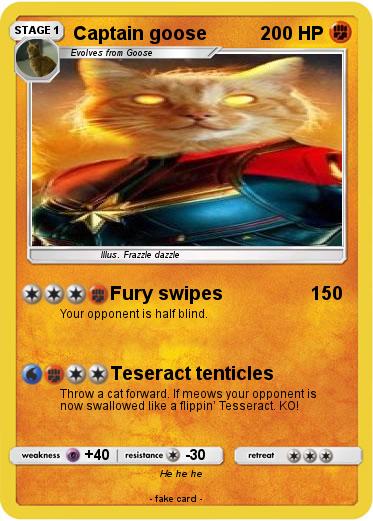 Pokemon Captain goose