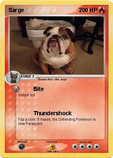 Pokemon Sarge