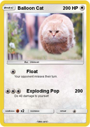 Pokemon Balloon Cat