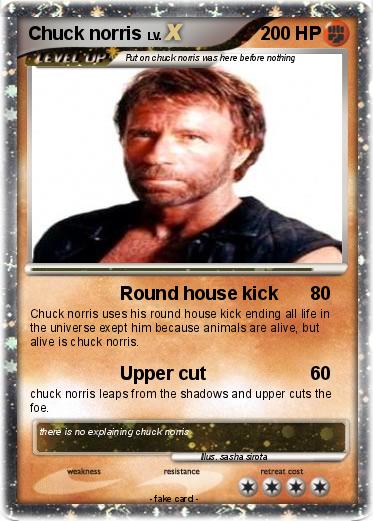 Pokemon Chuck Norris 3770
