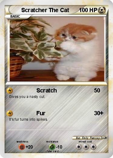 Pokemon Scratcher The Cat
