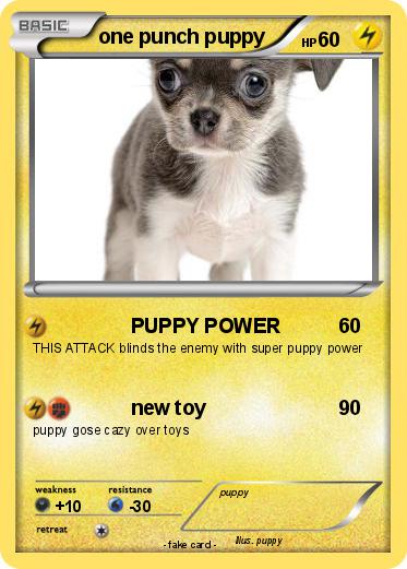 Pokemon one punch puppy