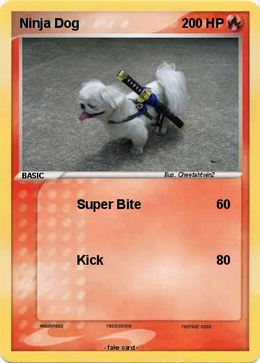Pokemon Ninja Dog