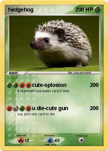 Pokemon hedgehog