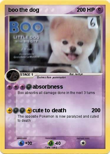 Pokemon boo the dog