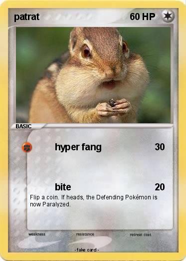 Pokemon patrat
