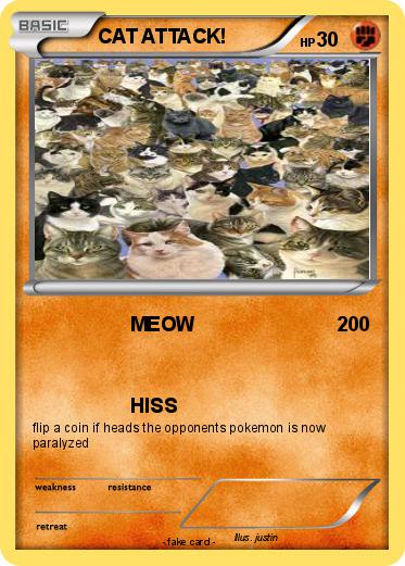 Pokemon CAT ATTACK!