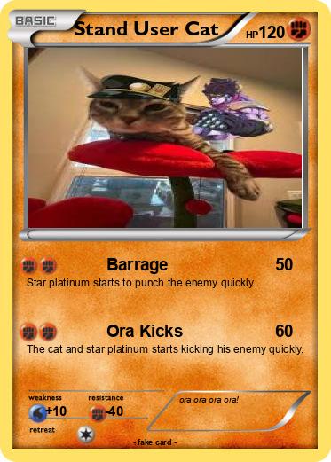 Pokemon Stand User Cat