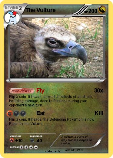 Pokemon The Vulture Pokemon The Vulture