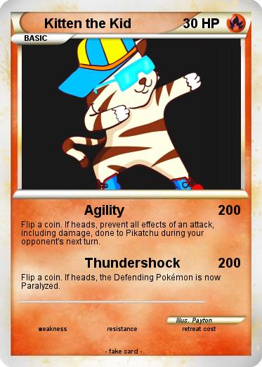 Pokemon Kitten the Kid