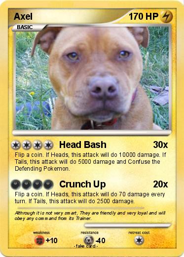 Pokemon Axel
