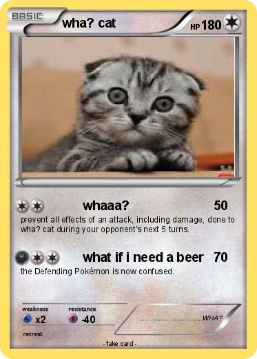 Pokemon wha? cat