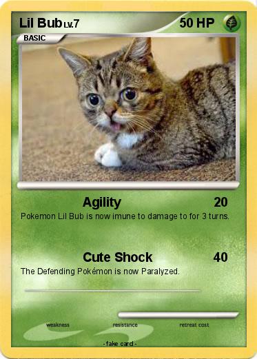Pokemon Lil Bub