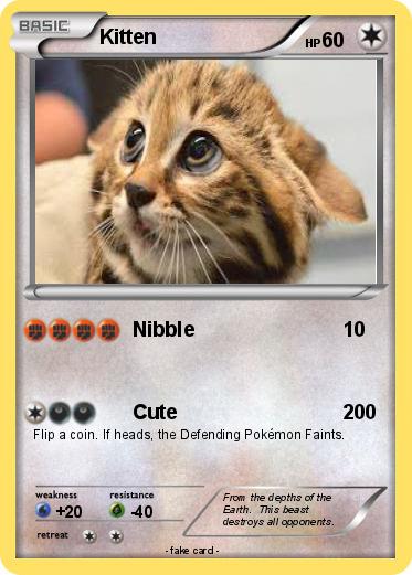 Pokemon Kitten