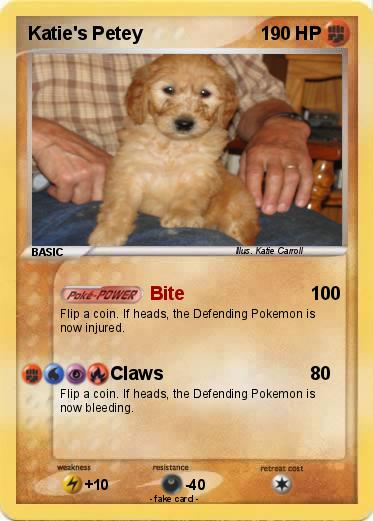 Pokemon Katie's Petey