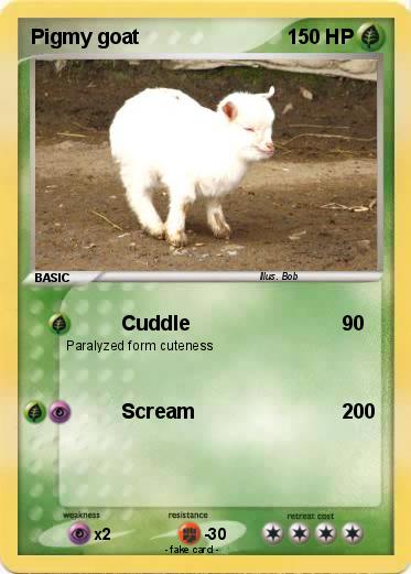Pokemon Pigmy goat