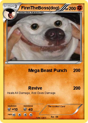 Pokemon FinnTheBoss(dog)