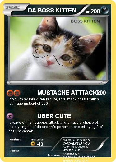 Pokemon DA BOSS KITTEN