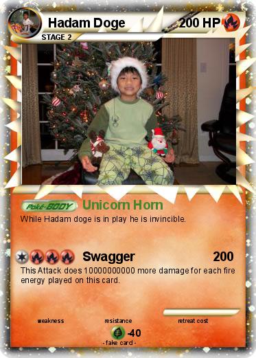 Pokemon Hadam Doge