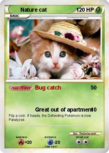 Pokemon Nature cat