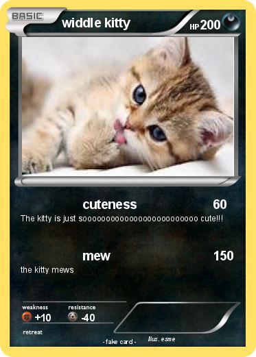 Pokemon widdle kitty