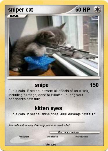 Pokemon sniper cat