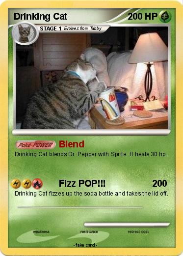 Pokemon Drinking Cat