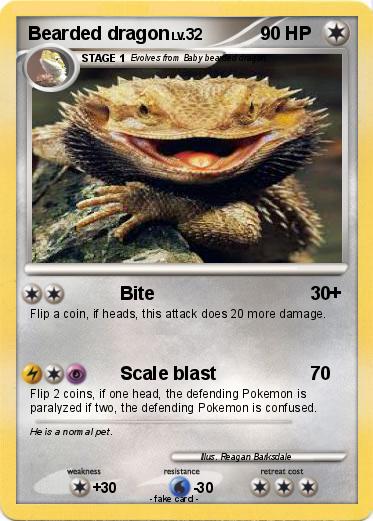 Pokemon Bearded dragon