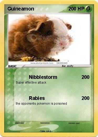Pokemon Guineamon