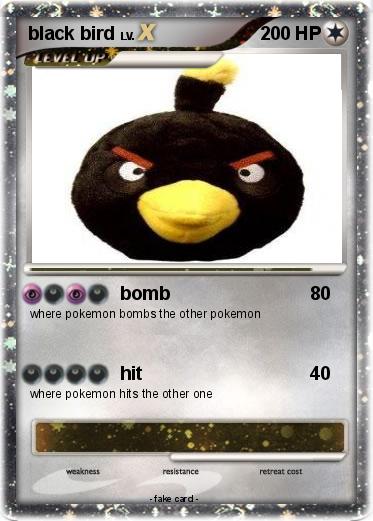 Pokemon black bird