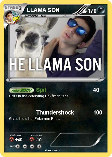 Pokemon LLAMA SON