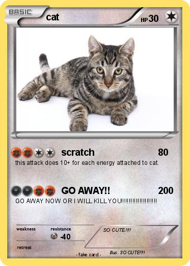 Pokemon cat
